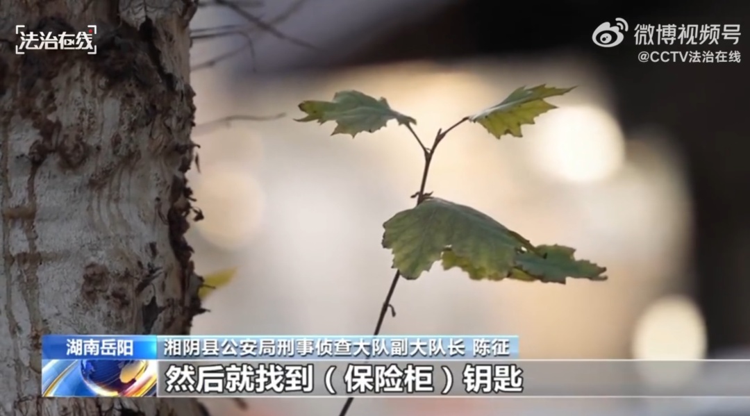 女子不改密码，保险箱2次失窃！“心机闺蜜”盗走56万，女子震惊：怀疑儿子，我还找她支招...