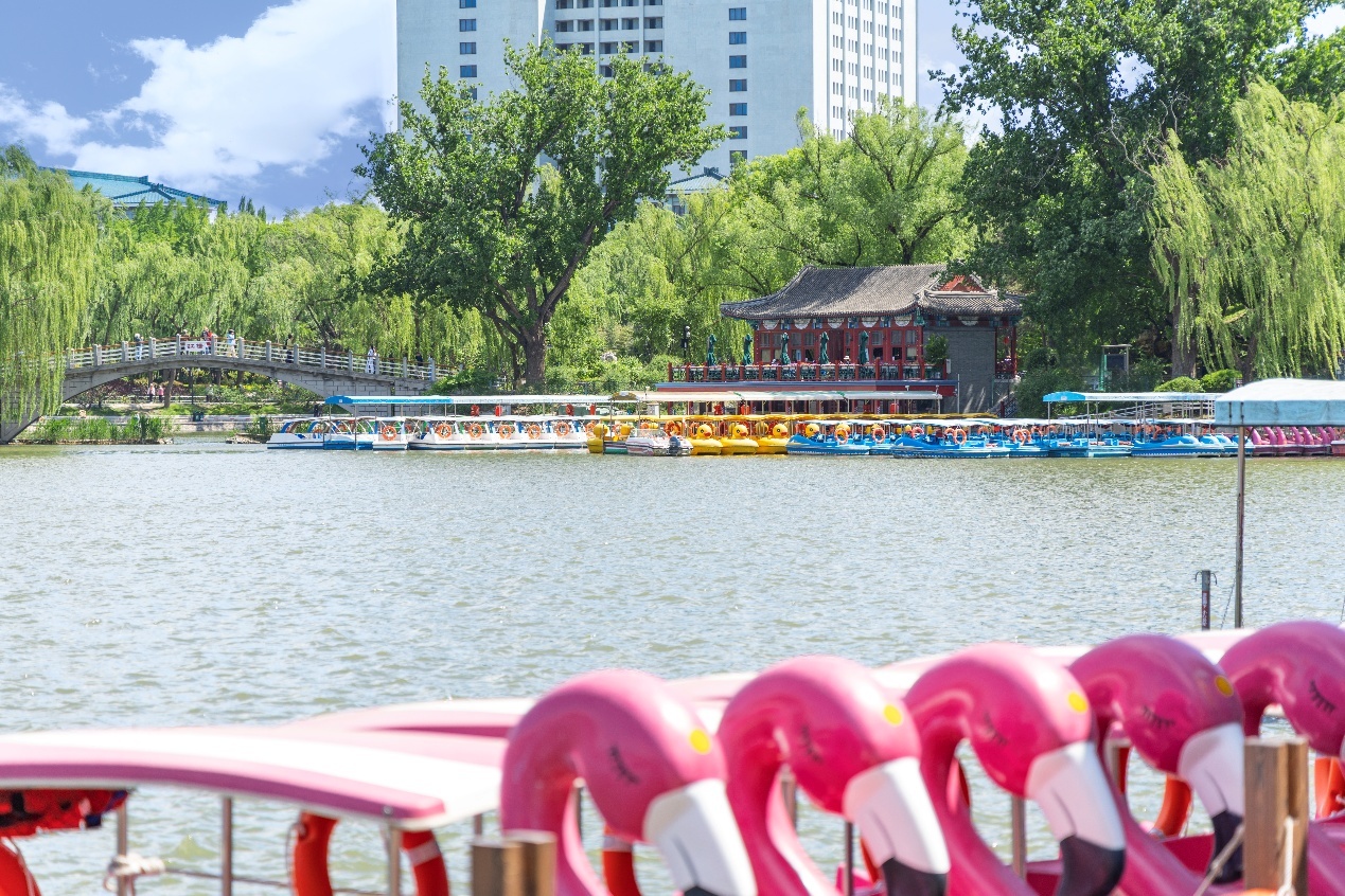 碧空流云下的北京公园有多美？组图来袭