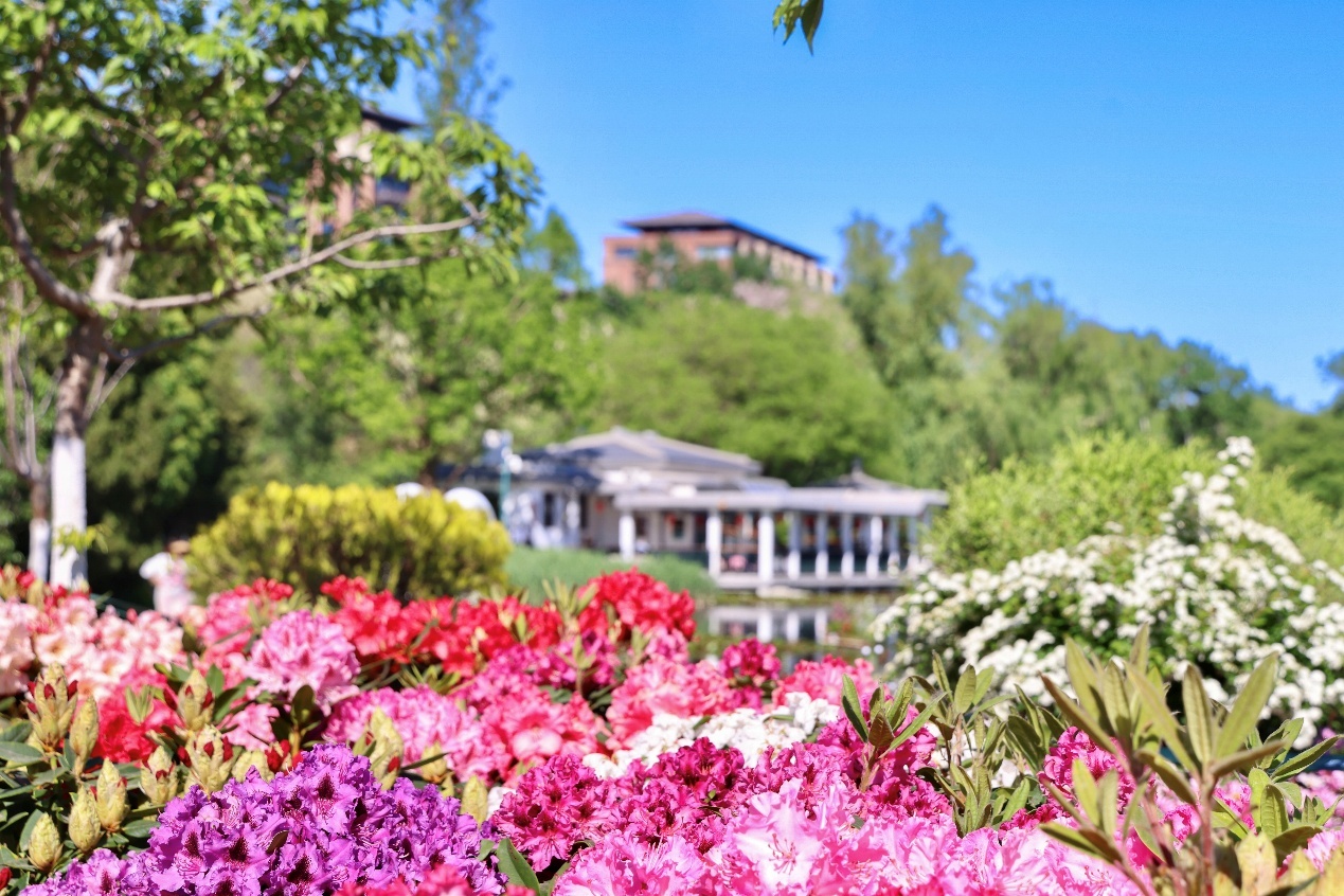 碧空流云下的北京公园有多美？组图来袭