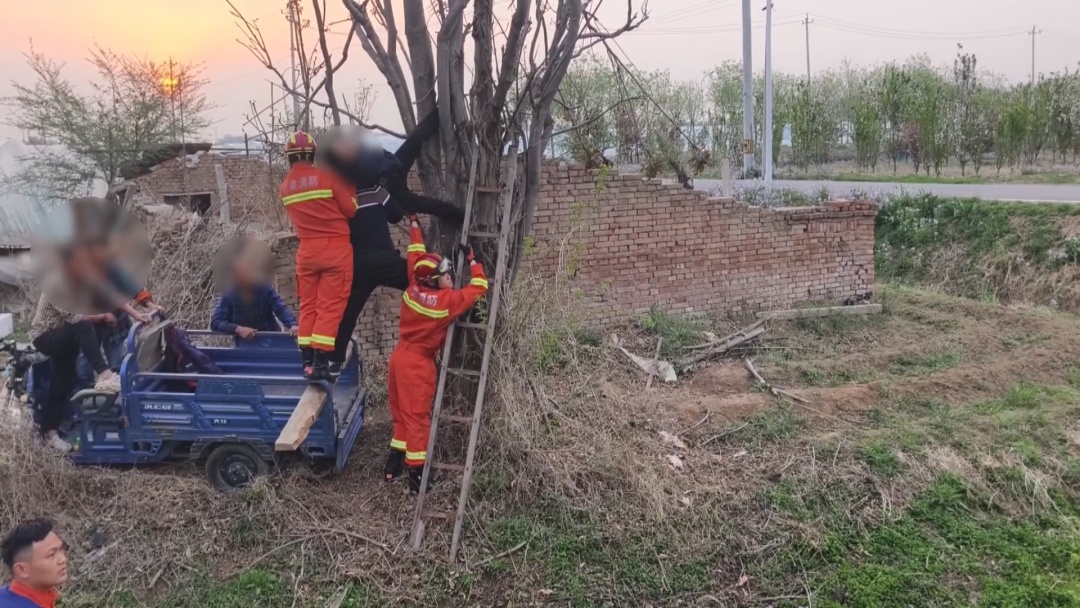 男子被卡树上7小时 北京消防科学施救化险为夷