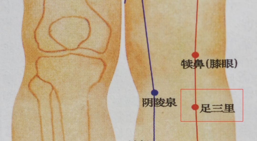 3个黄金穴位，一键健脾祛湿