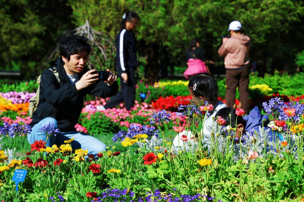 碧空流云下的北京公园有多美？组图来袭