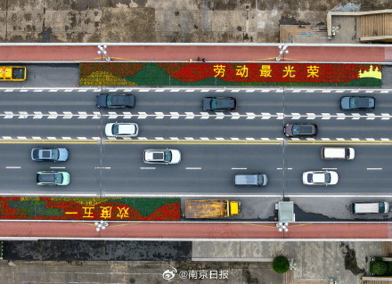 近200平方米主题花坛亮相南京长江大桥