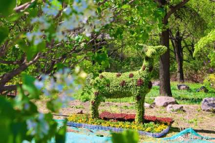 五一上新！八达岭主题花坛惊艳亮相