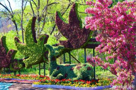 五一上新！八达岭主题花坛惊艳亮相