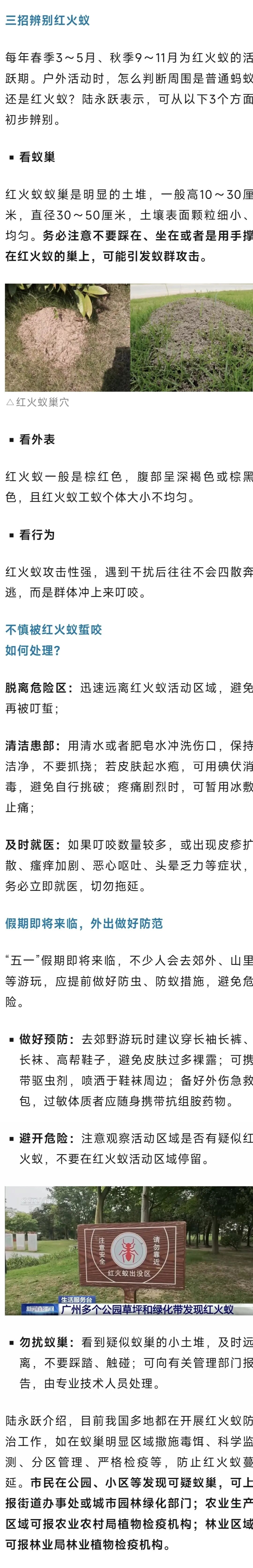 外出看见这种小土包，千万别踩！不然包你流下悔恨的泪水