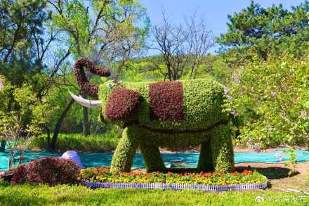 五一上新！八达岭主题花坛惊艳亮相