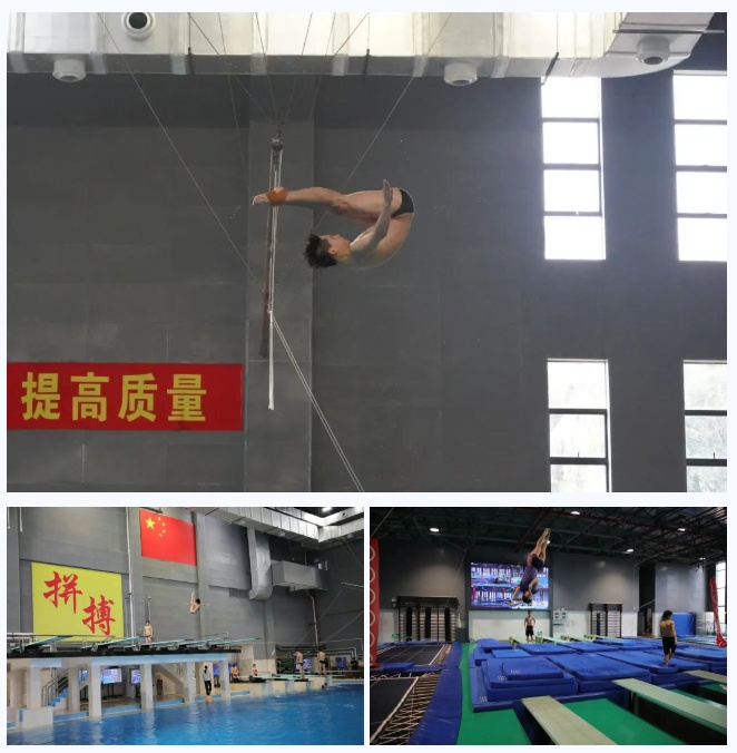 全红婵将缺席上半年各项比赛