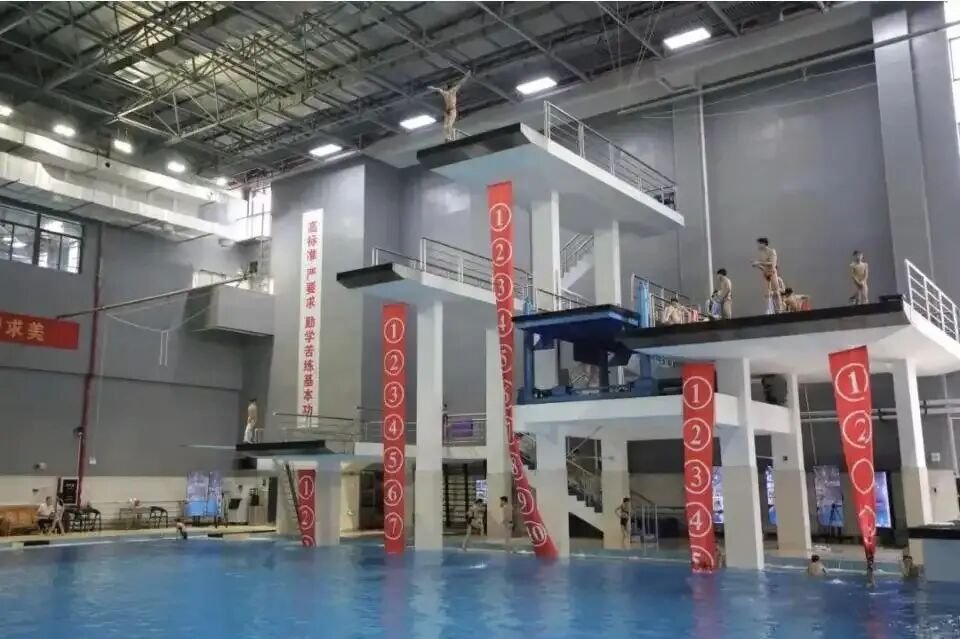 全红婵缺席2026年全国跳水冠军赛，广东二沙体育训练中心：全红婵暂不具备参赛条件