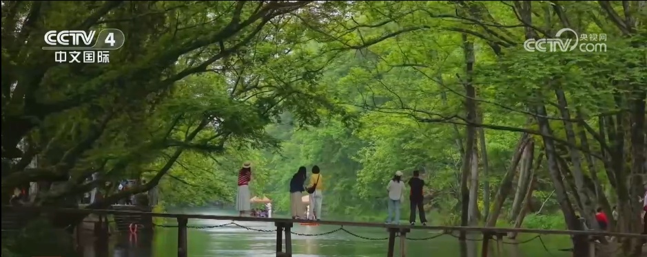 N种文旅玩法“解锁”五一假期多巴胺 哪种方式最得你心？