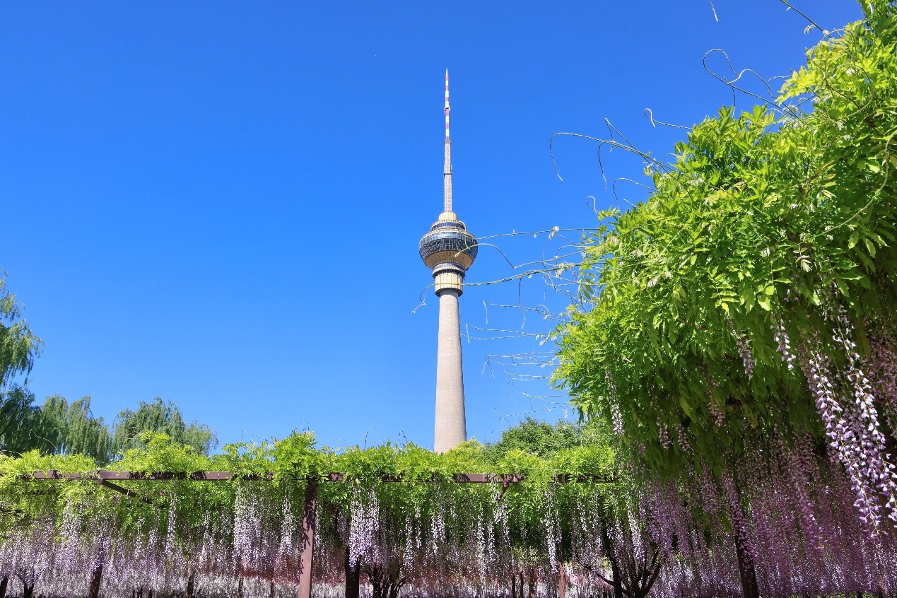 碧空流云下的北京公园有多美？组图来袭