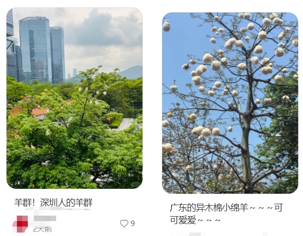 “根本不敢呼吸”！深圳网友：满地都是……提醒→