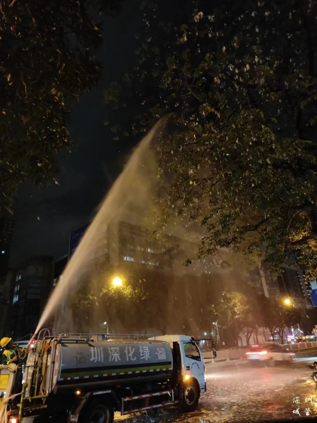 “根本不敢呼吸”！深圳网友：满地都是……提醒→