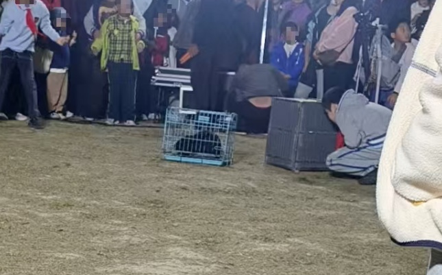 卡皮巴拉、大蟒蛇……上海多地再现街头马戏团！孩子哭闹着非得要，家长无奈掏钱