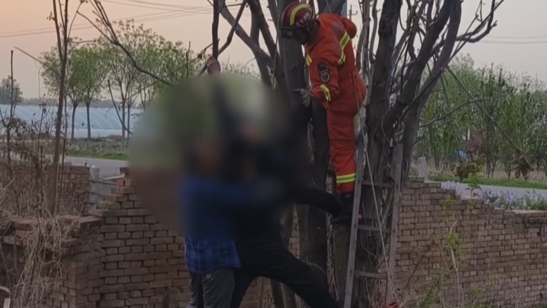 男子被卡树上7小时 北京消防科学施救化险为夷