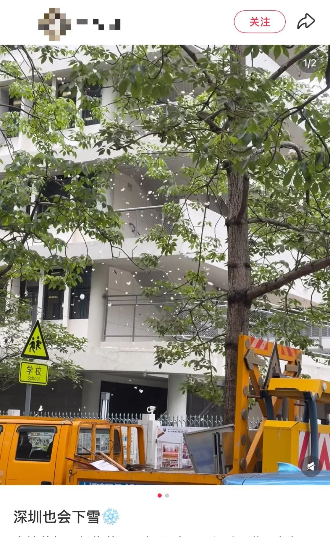 “根本不敢呼吸”！深圳网友：满地都是……提醒→