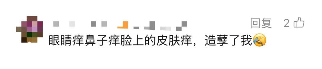 “根本不敢呼吸”！深圳网友：满地都是……提醒→