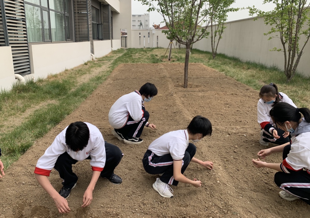 劳动是最好的节日礼物！北京学子用双手迎接五一