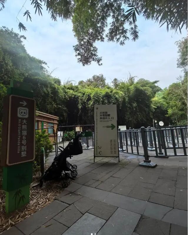 导游讲解称网红大熊猫花花是残疾，游客不满并当场报警，警方回应