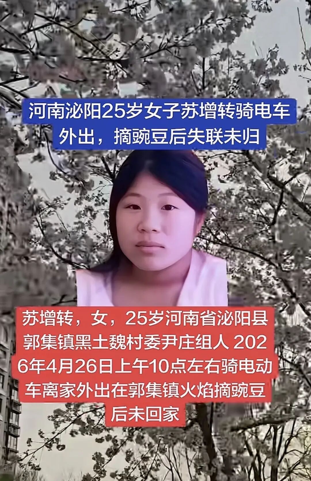 河南25岁女子清晨摘豌豆后失联已超四天，知情人称她骑电动车回家途中走失，警方已介入