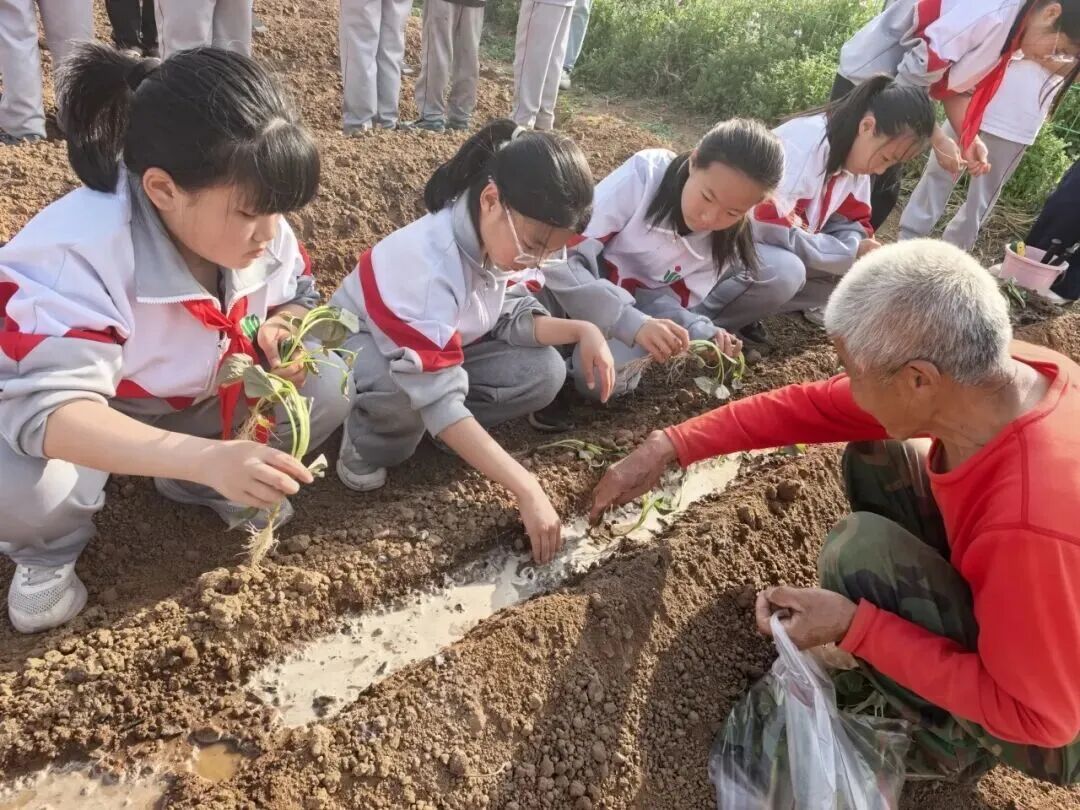 劳动是最好的节日礼物！北京学子用双手迎接五一