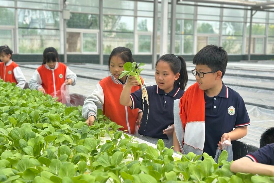 劳动是最好的节日礼物！北京学子用双手迎接五一