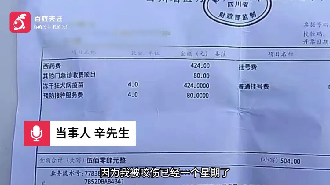流浪狗多次伤人后再次现身街头，伤者：周边很多学生，希望能尽早捕捉