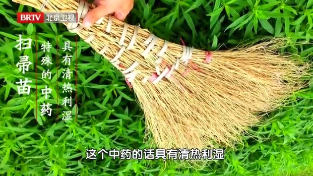 这种痒是高血糖信号，用它泡水，快速止痒，简单有用