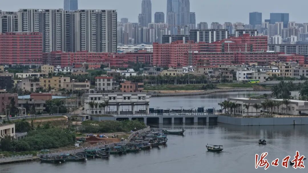 让大海“喘口气”！休渔期将至，海口渔船悉数归港休整