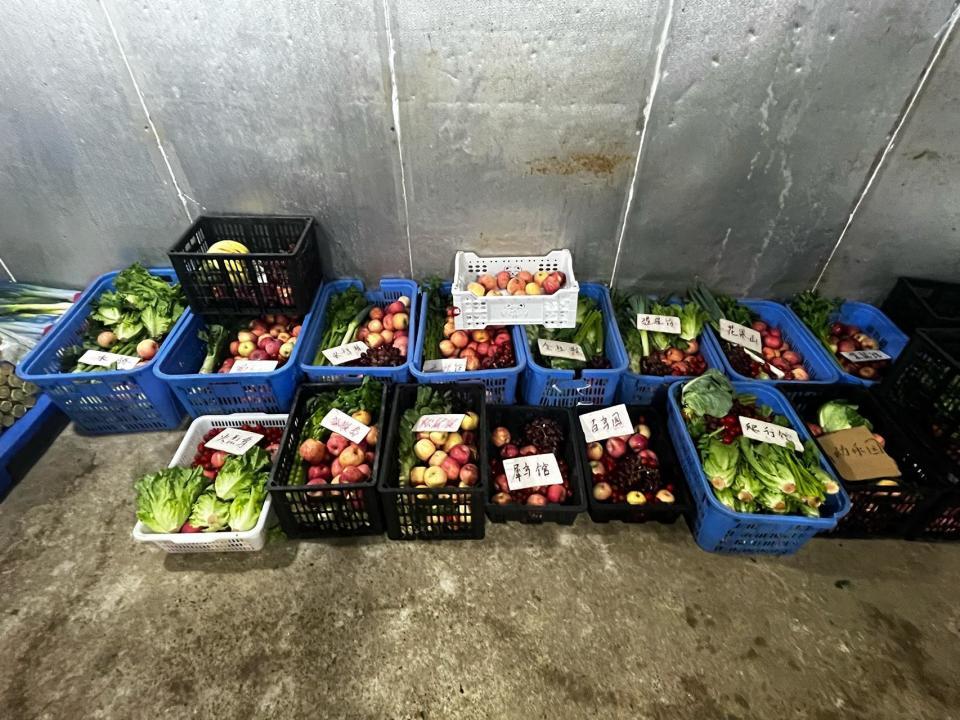 凌晨五点的“动物食堂”，探访长沙生态动物园配料班班长李磊，为3000余只动物备餐