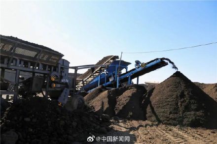 内蒙古羊粪出口老挝