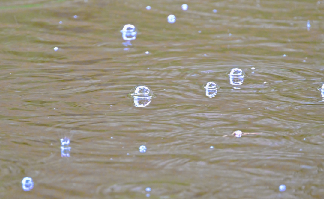 暴雨、大风、小冰雹……广州天气即将“变脸”！今明两天强对流来袭
