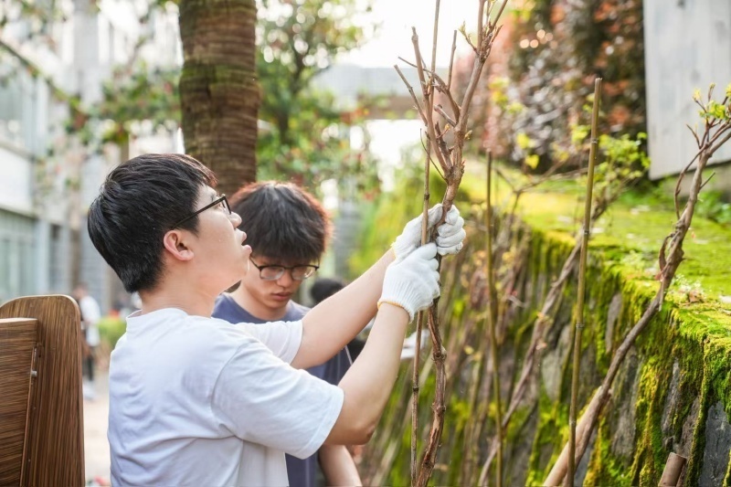 学做饭、学修车、学装修……中南大学劳动课受到学生热捧
