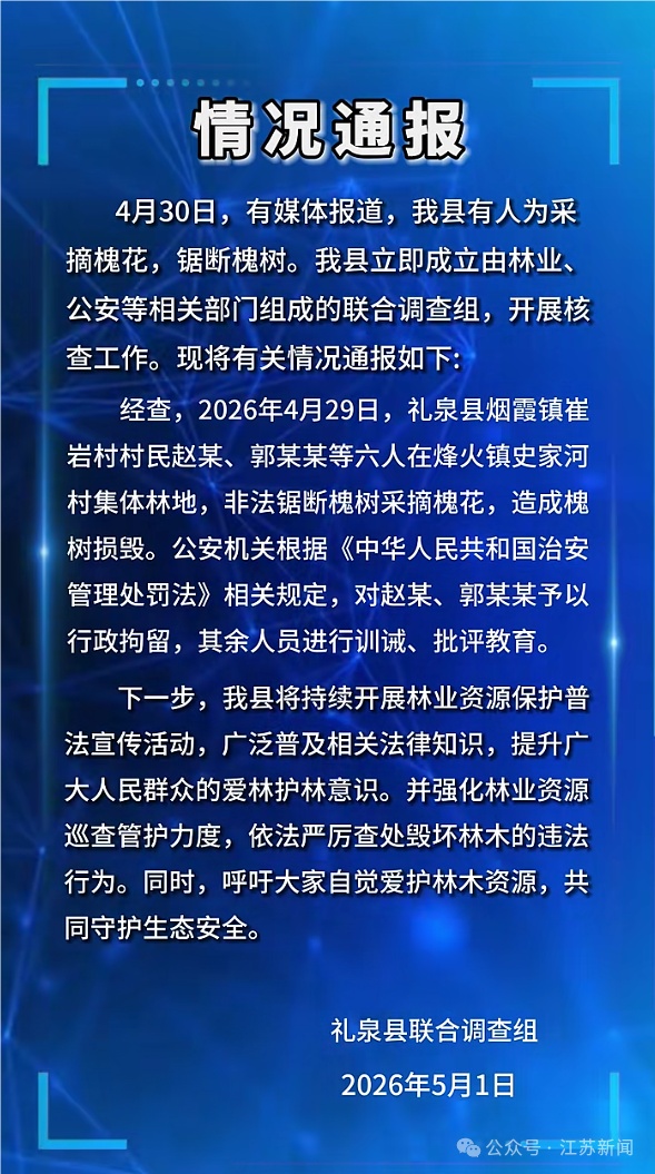 陕西咸阳通报2人被行政拘留，为吃槐花毁了几十棵大树！