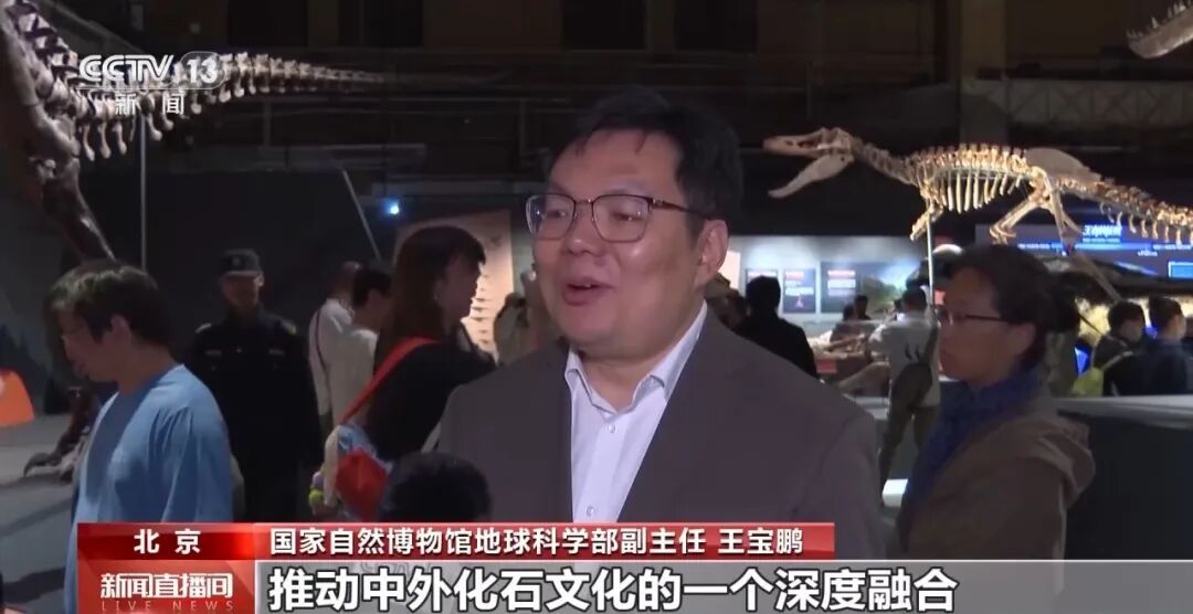 长超12米，重或超10吨！霸王龙骨架化石亮相国家自然博物馆