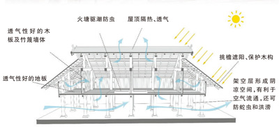 “会呼吸”、无钉榫卯，这种“长”在雨林里的建筑什么样？