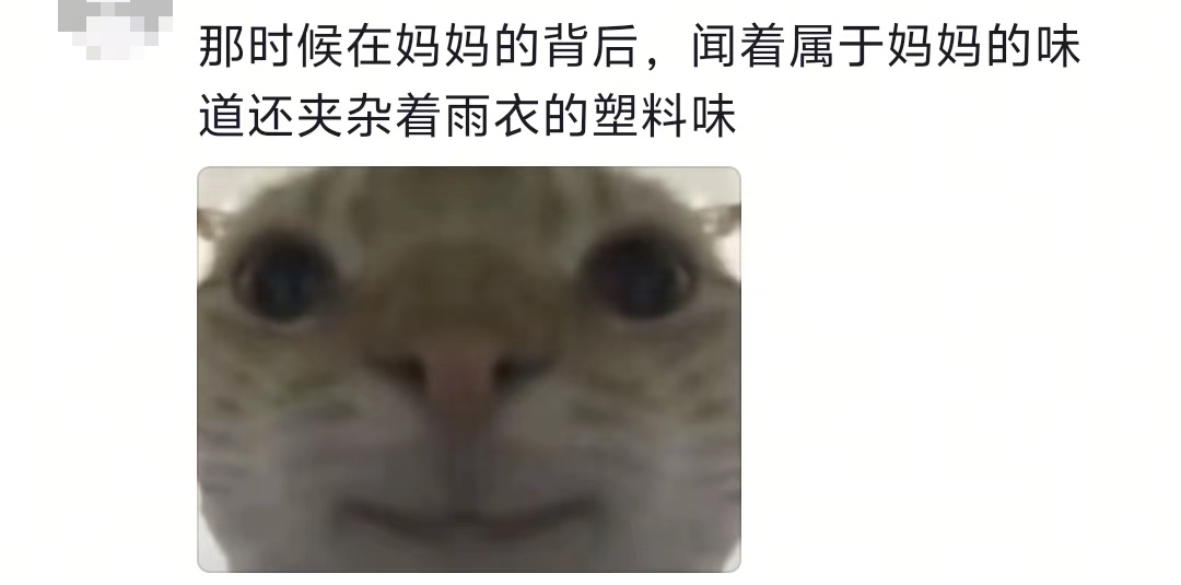“雨伞羞耻症”上热搜！网友：就是回头率有点高