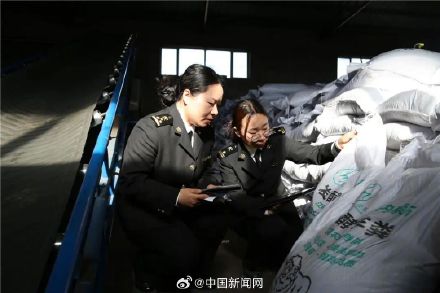 内蒙古羊粪出口老挝