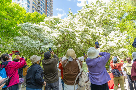 假期第二天，北京市属公园接待游客77.23万人次
