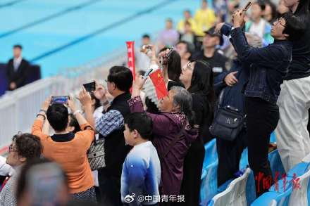 王宗源郑九源男子3米跳板摘金夺银