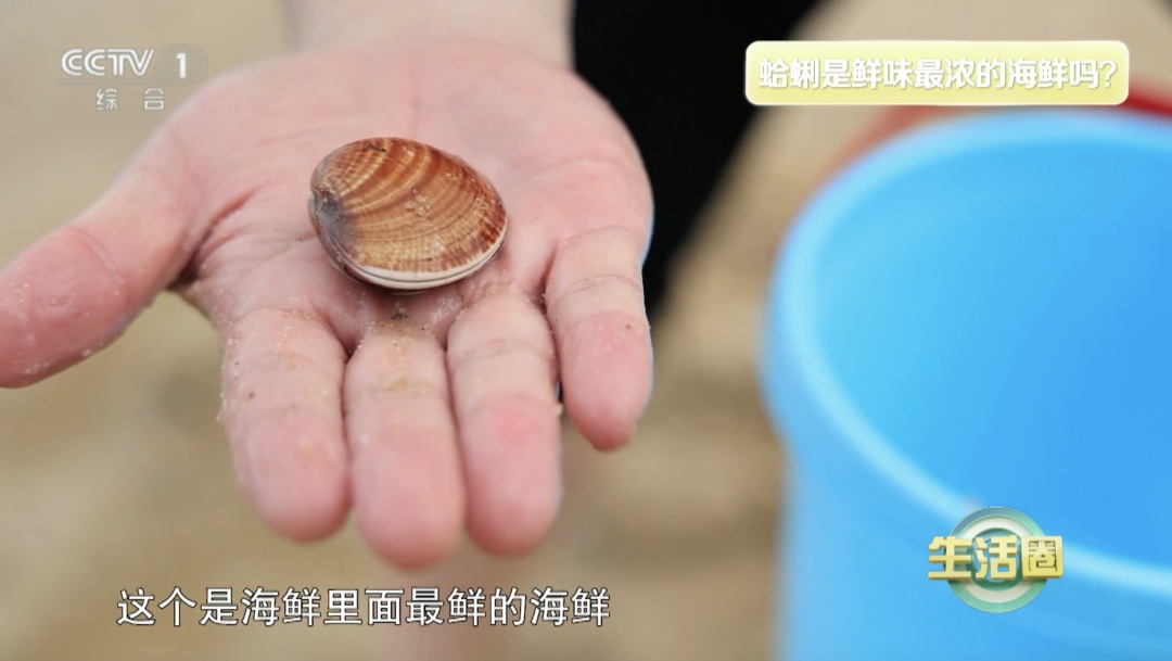 它被誉为“天下第一鲜”“矿物质宝库”，帮你补铁、补硒、抗炎、降压、控血脂
