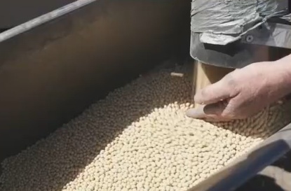 提醒！面包或要涨价了