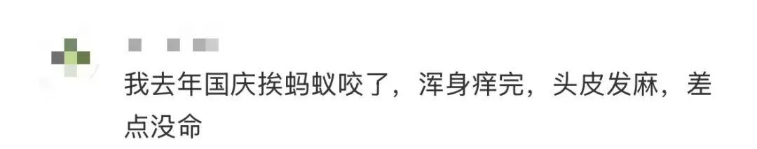 密密麻麻！最近路边大量出现！深圳疾控紧急提醒：立即远离！