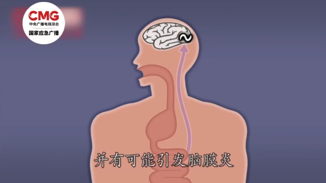 1岁女童在小区玩耍后确诊严重脑炎 这种蜗牛别养别碰