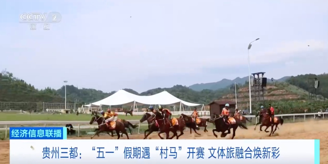 一天超8万人次涌入！又一赛事，火了→