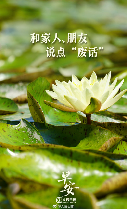那些无关紧要的碎碎念，恰是袒露真心的开始