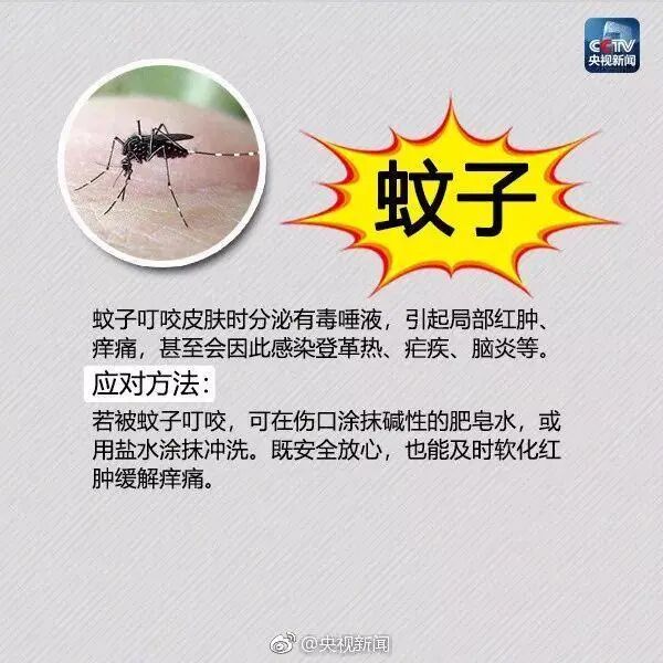 密密麻麻！最近路边大量出现！深圳疾控紧急提醒：立即远离！