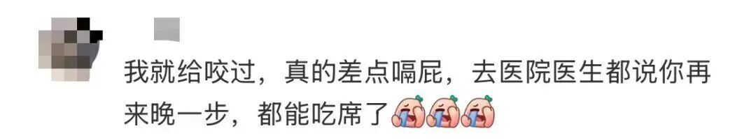 密密麻麻！最近路边大量出现！深圳疾控紧急提醒：立即远离！