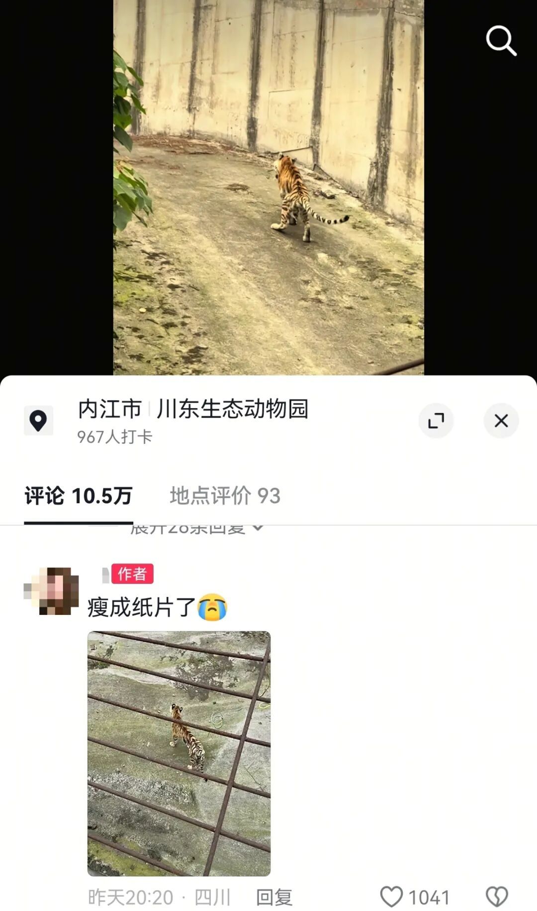 四川隆昌一动物园的老虎“瘦成纸片”，文旅局：已派专人到现场核实