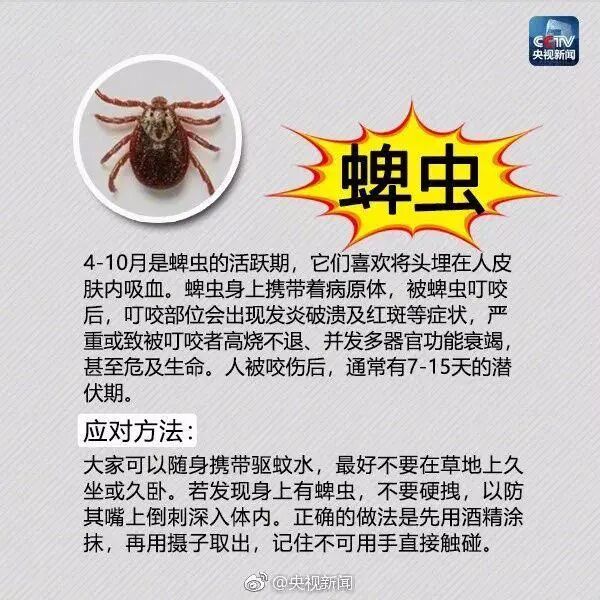 密密麻麻！最近路边大量出现！深圳疾控紧急提醒：立即远离！